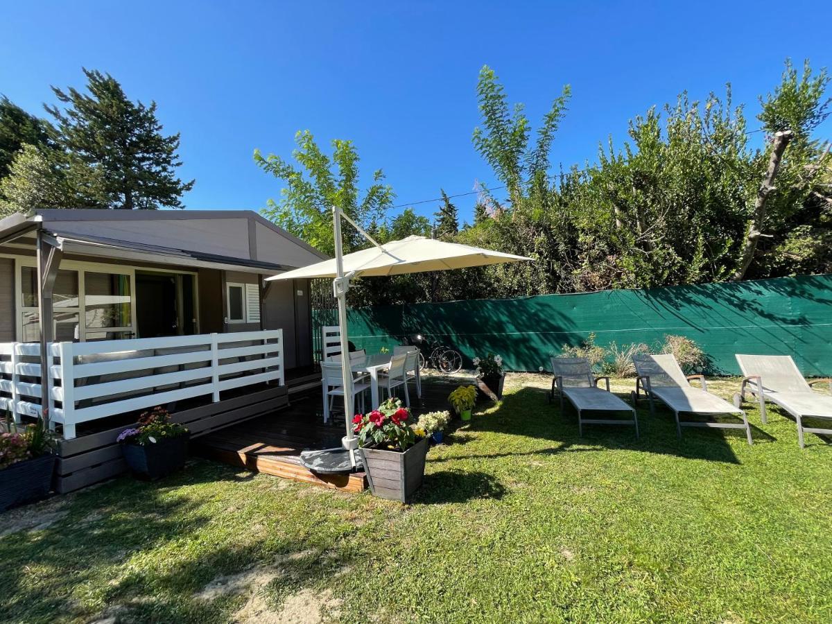 Avignon, Joli Chalet En Campagne Tres Proche De La Ville Buitenkant foto